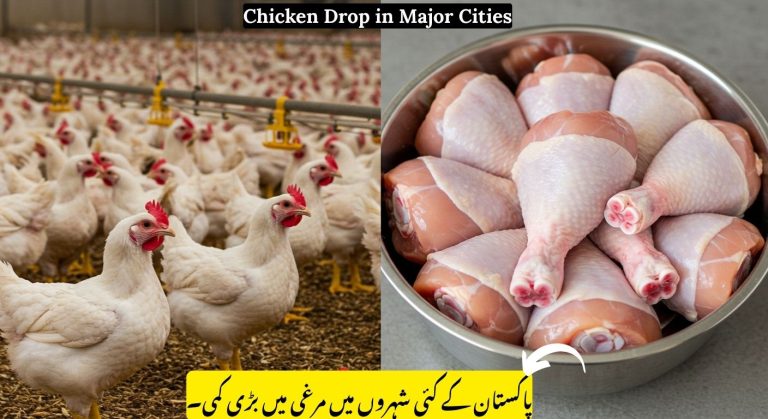 Big Relief for Citizens as Chicken Prices Drop in Major Cities by GOVT